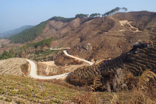 3003.com - ����ʢ����(�й�)