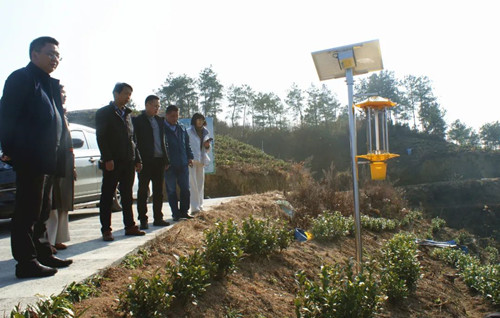 3003.com - ����ʢ����(�й�)