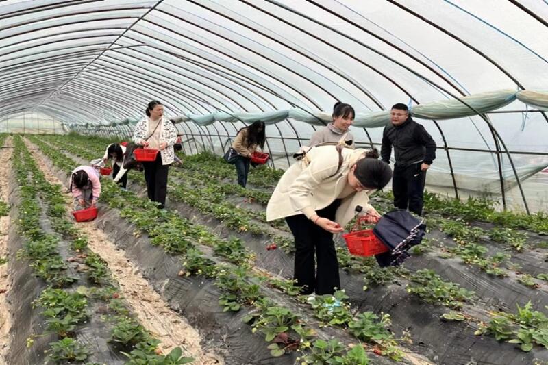 20230315083924442_20230905141341A038 3003.com - 享有盛誉·(中国)