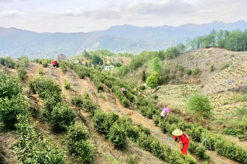 贫2_20240102151416A079 3003.com - 享有盛誉·(中国)