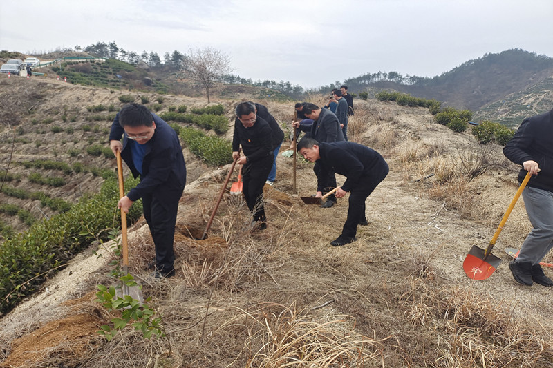 3003.com - 享有盛誉·(中国)