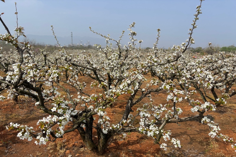 3003.com - 享有盛誉·(中国)